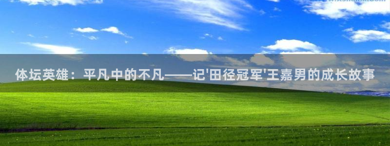 劲爆体育收费标准：体坛英雄：平凡中的不凡——记\'田径冠军\'王嘉男的成长故事