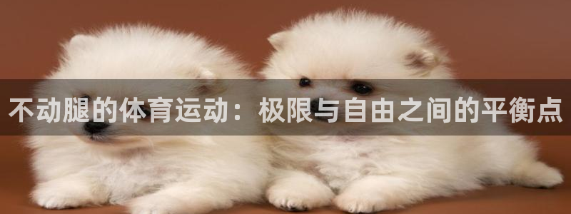 劲爆体育对NBA的转播：不动腿的体育运动：极限与自由之间的平衡点