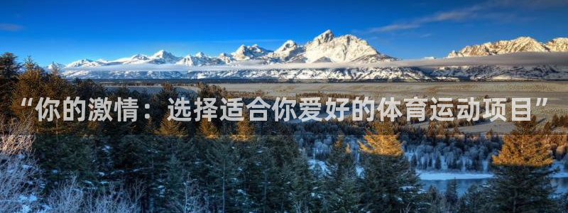 劲爆体育免费下载：“你的激情：选择适合你爱好的体育运动项目”