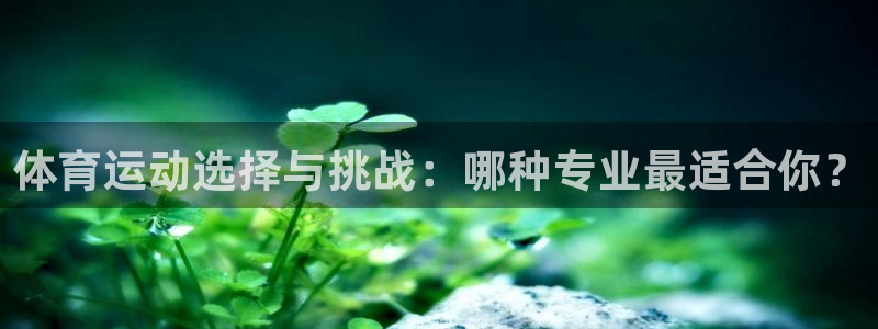劲爆体育在线直播观看高清nba：体育运动选择与挑战：哪种专业最适合你？